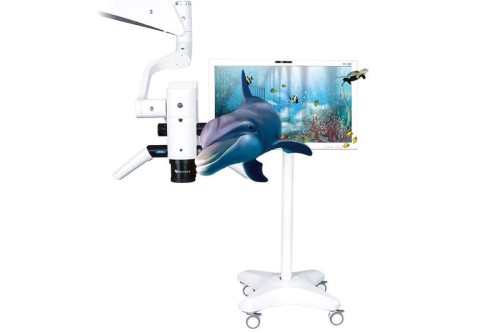 Semorr Naked Eye 3D zdjęcie 2