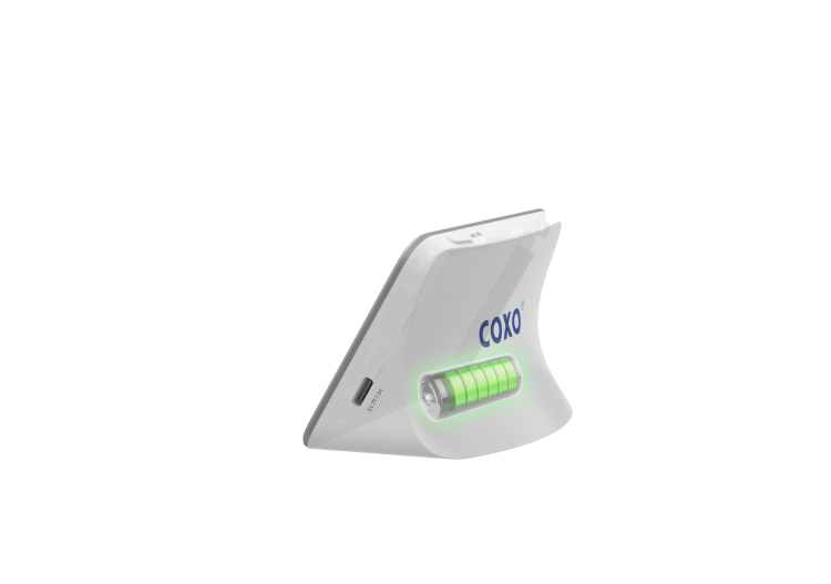 C-ROOT-IV2.webp